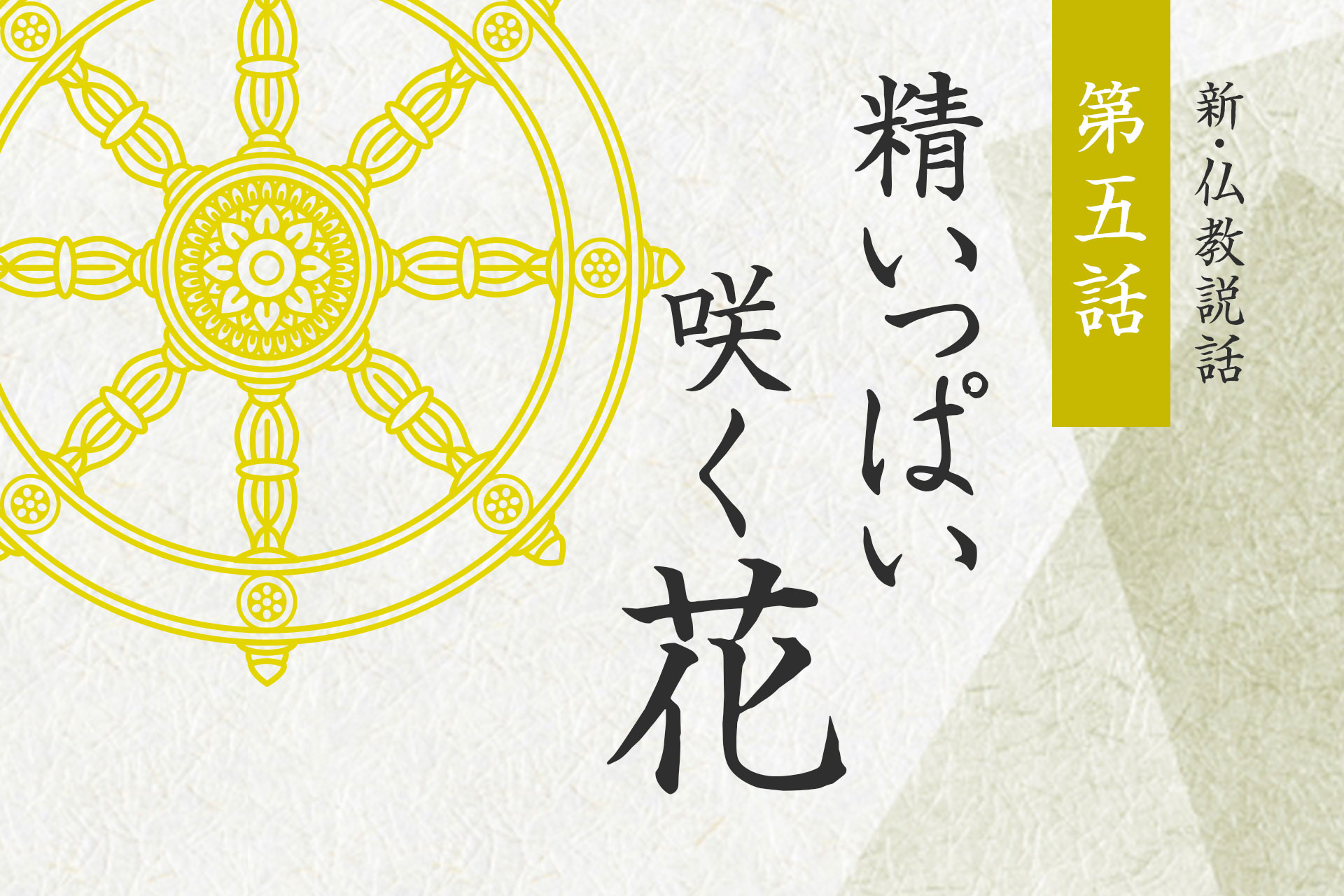 第六話「ケシの実」