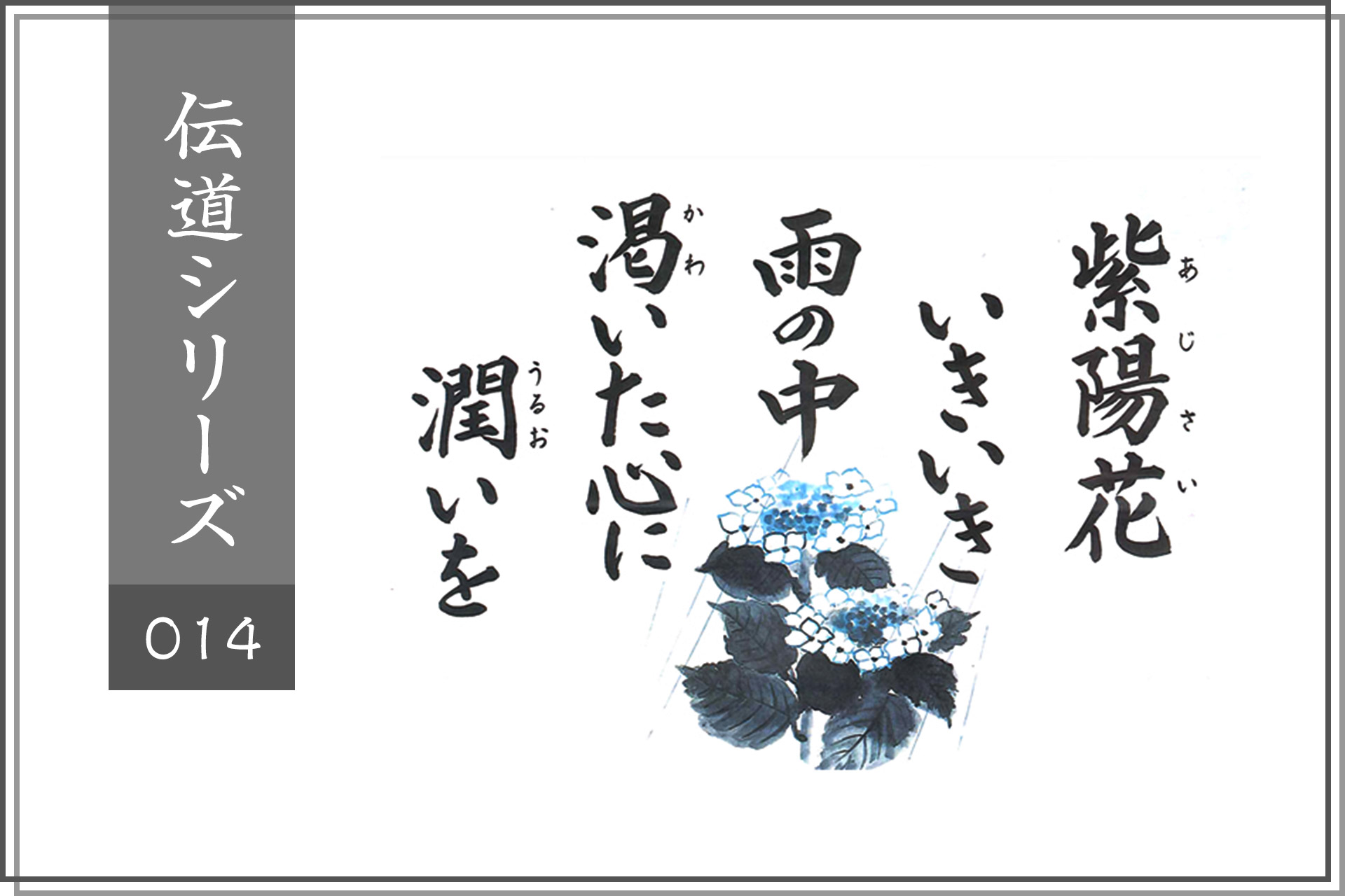紫陽花いきいき雨の中、乾いた心に潤いを