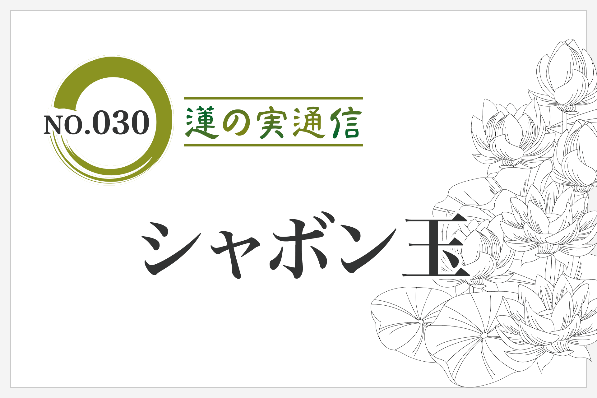 住職エッセイ集 蓮の実通信 No.030「しゃぼん玉」