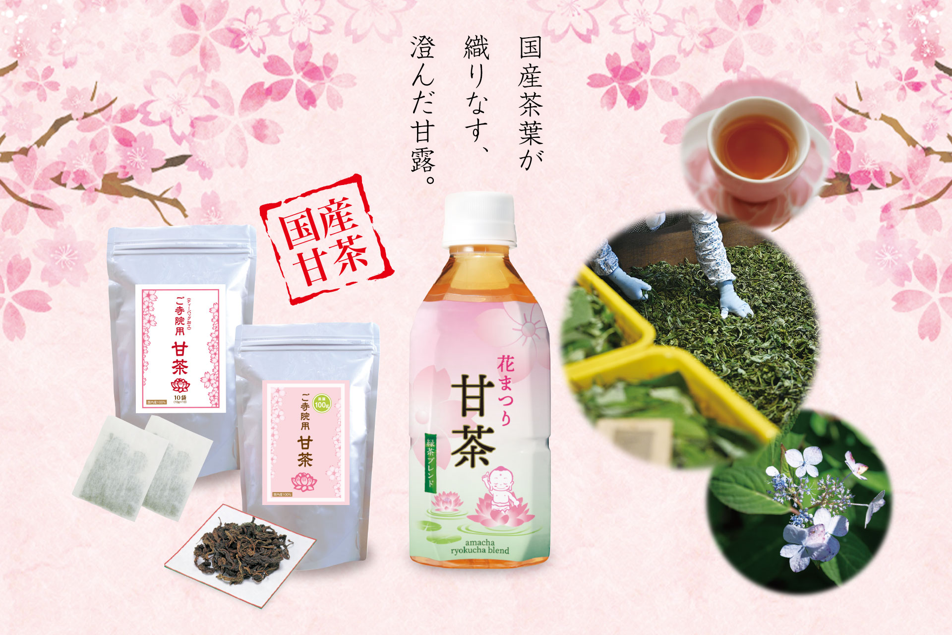 寺の友社オリジナル国産甘茶のご紹介