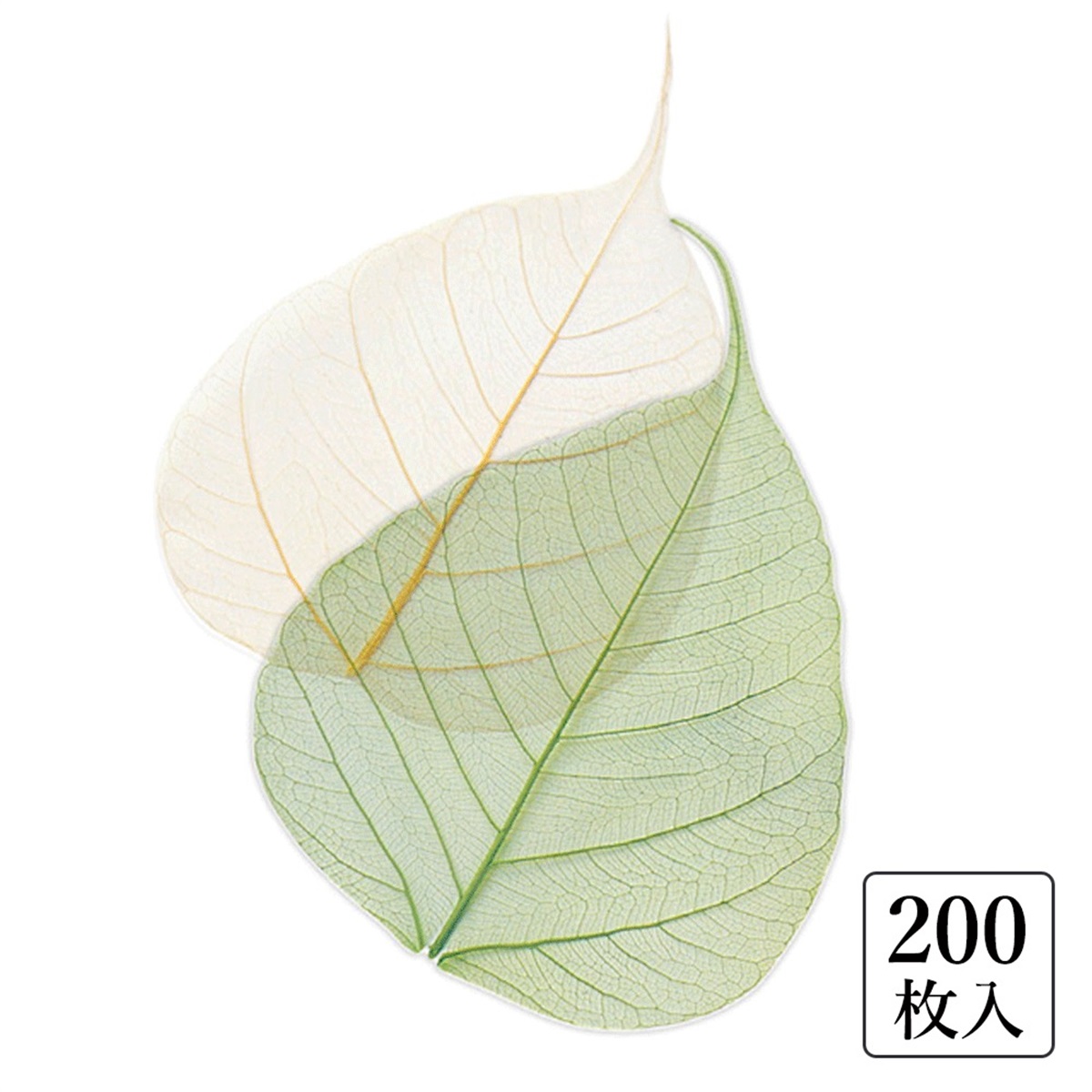 寺の友社・杜の友社 オンラインショップ 散華＞天然・インド菩提樹 白
