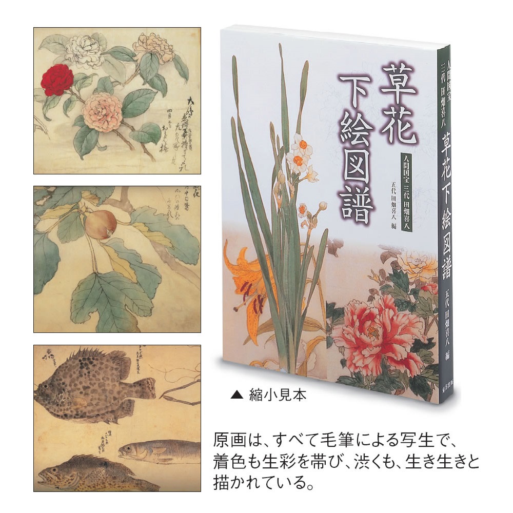 寺の友社・杜の友社 オンラインショップ 仏教関連書籍商品一覧｜寺の友