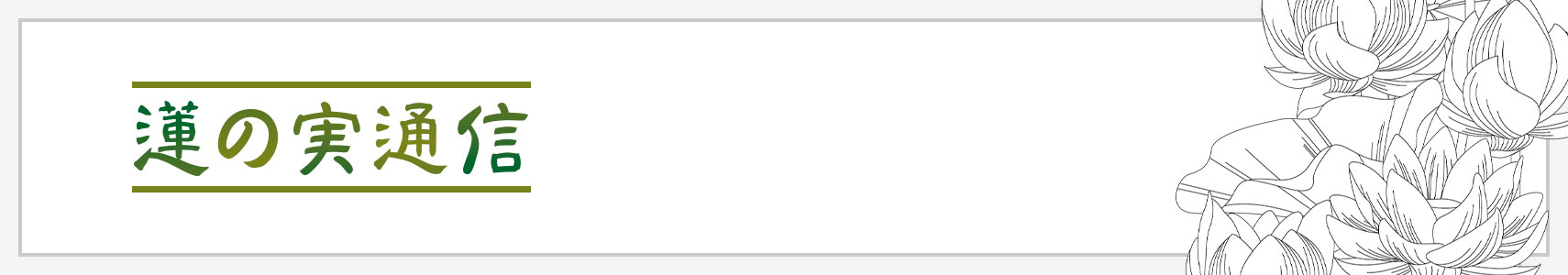 蓮の実通信メイン