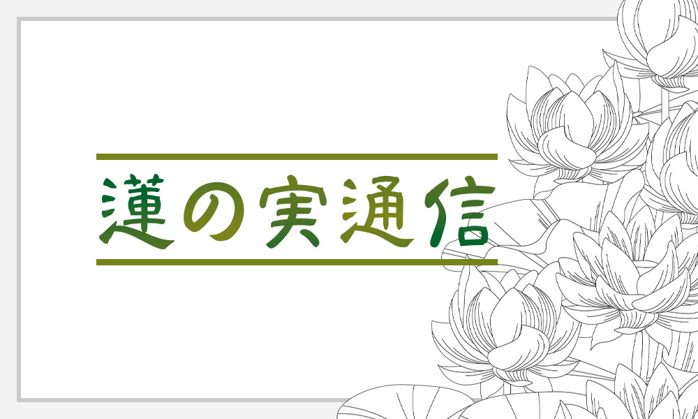 蓮の実通信メイン