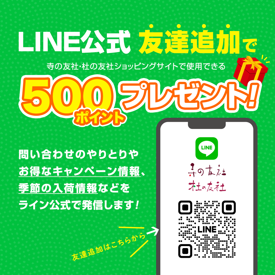 LINE公式友達追加で500ポイントプレゼント！